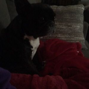 Meet your Posher, Kelsey